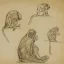 Gaston SUISSE (1896-1988) - Cercopithèques.